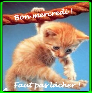 MERCI